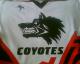 IceCoyotes#73Фотография %s